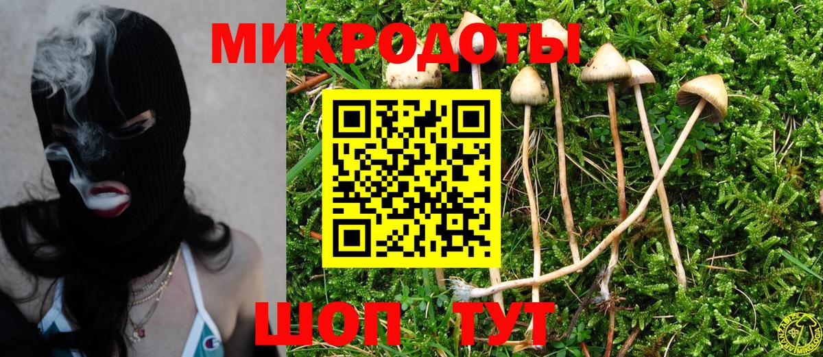 Галлюциногенные грибы MAGIC MUSHROOMS Ялуторовск