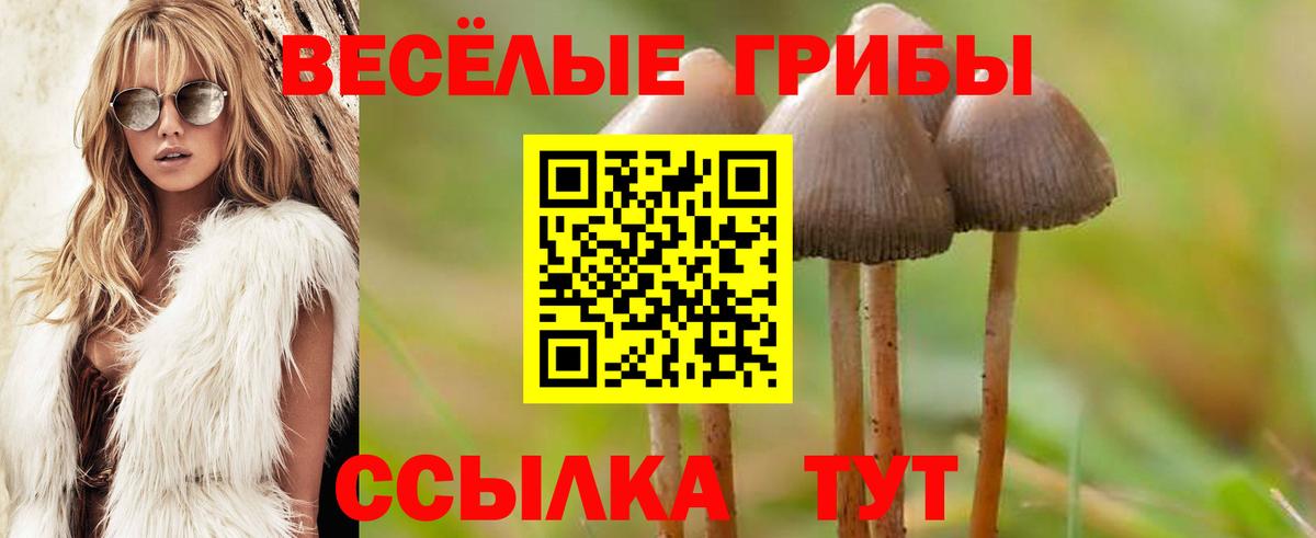 Ялуторовск  Галлюциногенные грибы ЛСД  Вход с VPN 